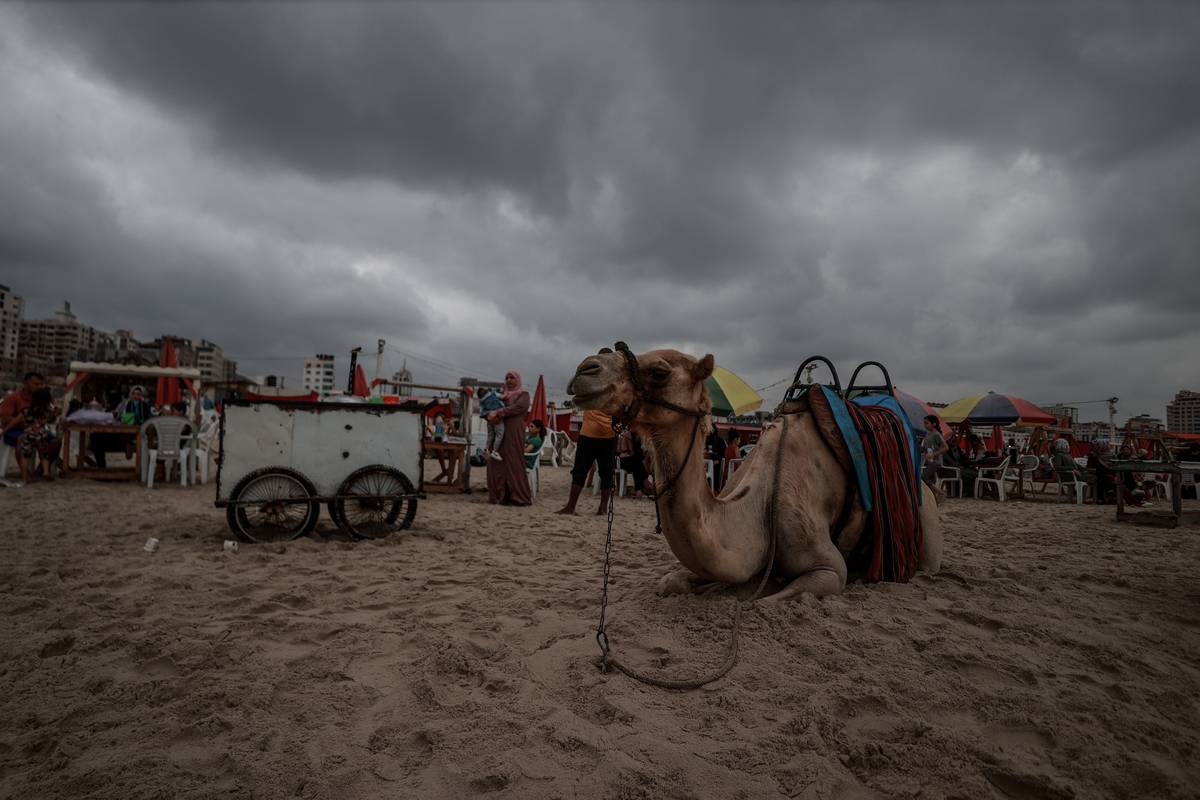 Weather In Gaza Hot weather in Gaza – Middle East Monitor