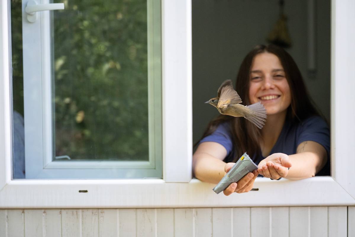 Migration surge begins in Ankara’s Eymir Bird Ringing Station – Middle ...
