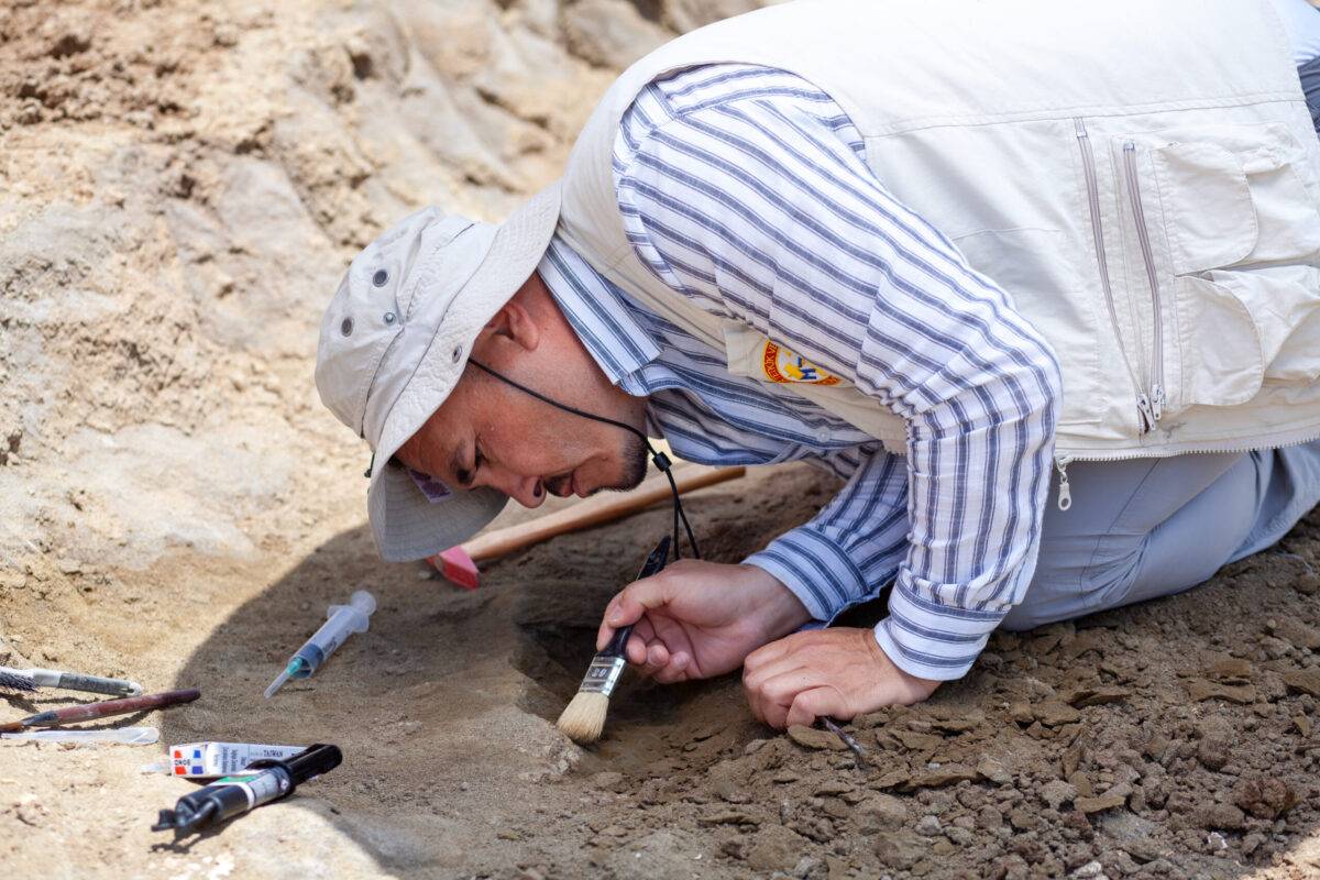 Palaeontologist brushes fossils in Turkiye on 5 June, 2023 [Cahit Emrali/Anadolu Agency via Getty Images]