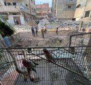 Al-Shati refugee camp bombed in Gaza on October 09, 2023. [Mohammed Asad/Middle East Monitor]
