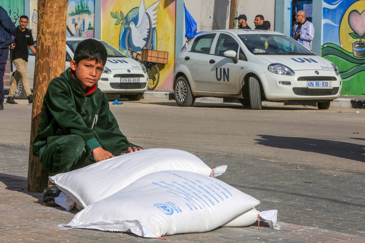 The UN Relief and Works Agency for Palestine Refugees (UNRWA) distribute flour to Palestinian families fled their homes and took refuge in UNRWA schools as Israeli attacks continue in Rafah, Gaza on November 21, 2023. [Abed Rahim Khatib - Anadolu Agency]