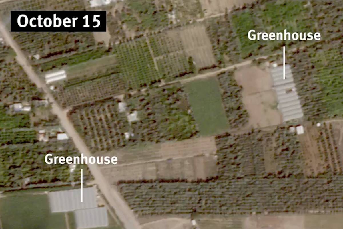 Israel's ground invasion destroys farmland in Gaza