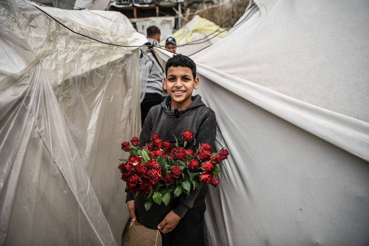 A 13-year-old Palestinian boy, Qasim, sells red roses by walking among tents set up in a camp in Rafah, Gaza on January 21, 2024. [Abed Zagout - Anadolu Agency]