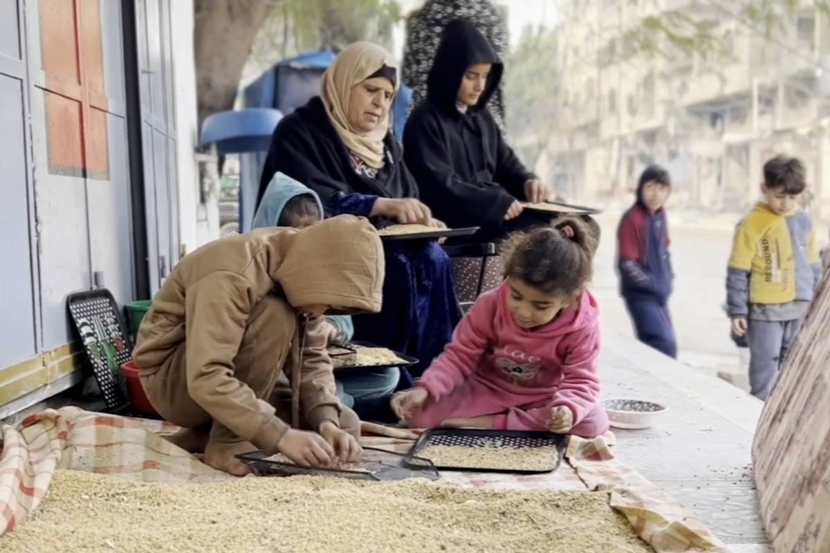 Dispatch from Gaza: Palestinians grind animal feed as flour alternative amid famine