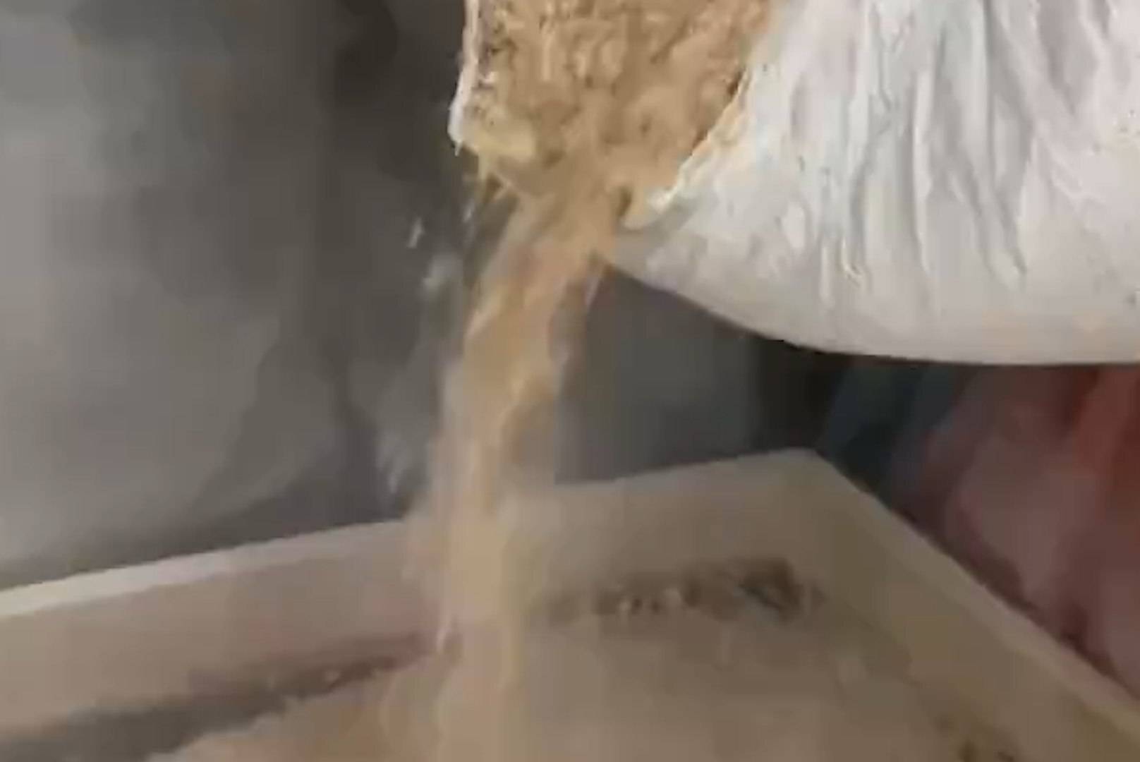 Palestinians use animal feed amid flour scarcity in Gaza