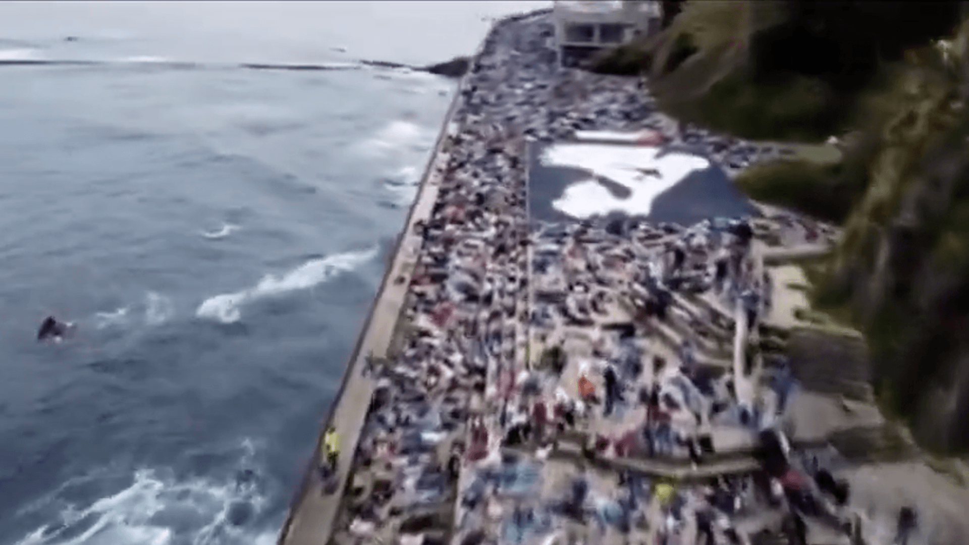 Thousands stage die-in for Gaza in Spain’s San Sebastian