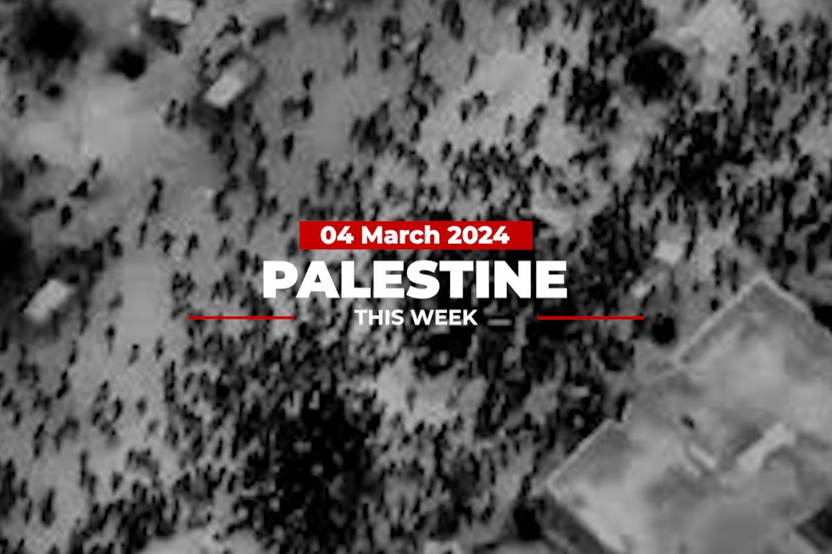 Palestine This Week: Israel's flour massacre and political rifts