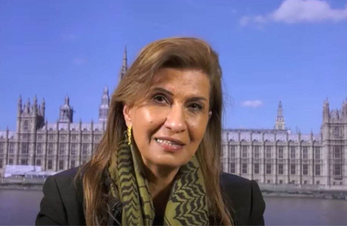Professor Nadera Shalhoub-Kevorkian [Screengrab-Democracy Now]
