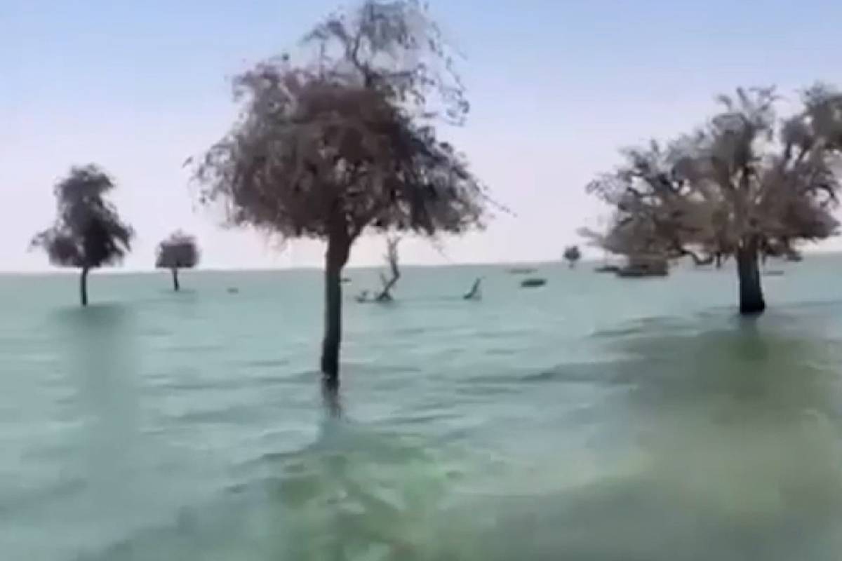 Heavy rain turns desert into a lake in Oman