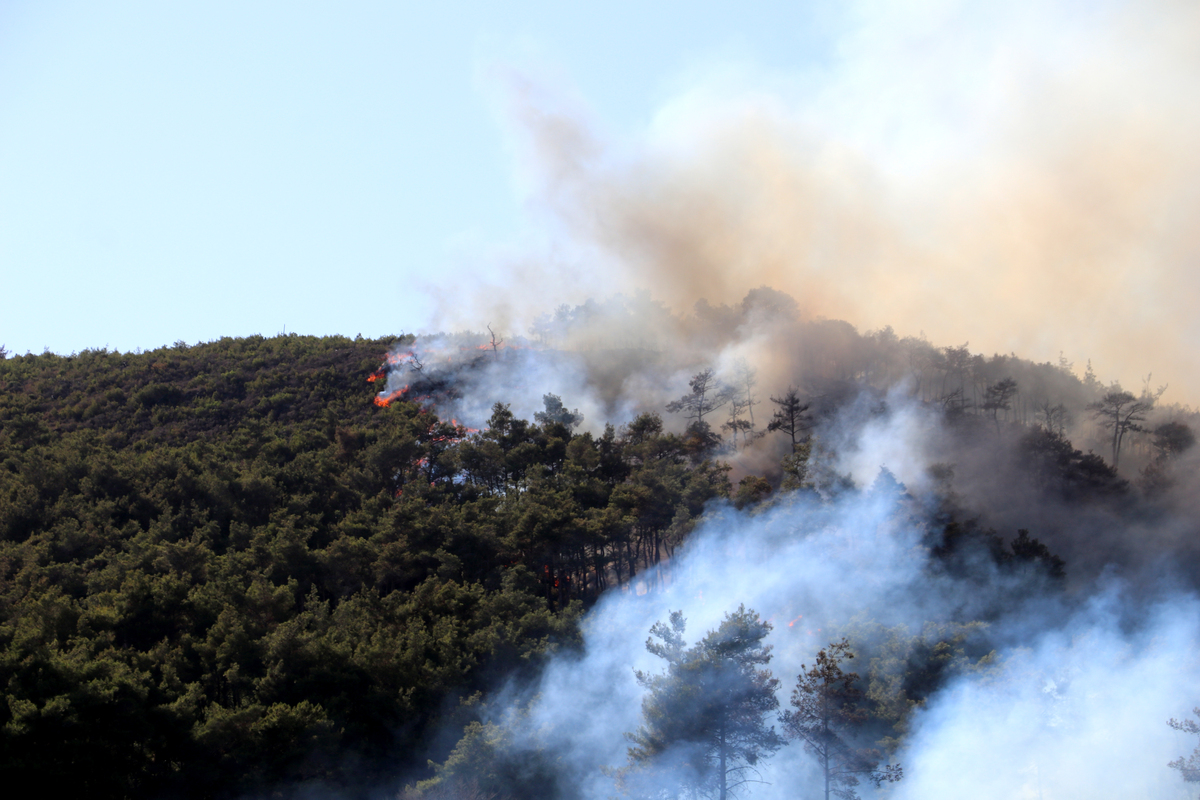 Turkiye supports firefighting operations in Syria’s Latakia