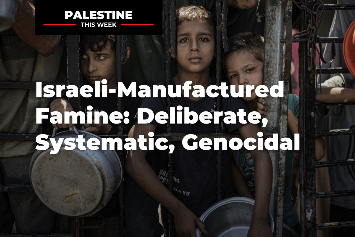 Israeli-Manufactured Famine: Deliberate, Systematic, Genocidal | Palestine This Week with Mouin Rabbani