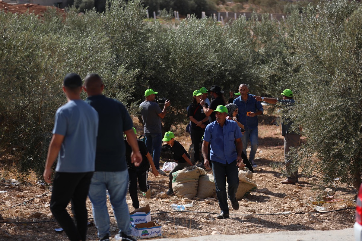 Israel deports 32 foreign activists for supporting Palestinian farmers against settler violence in West Bank