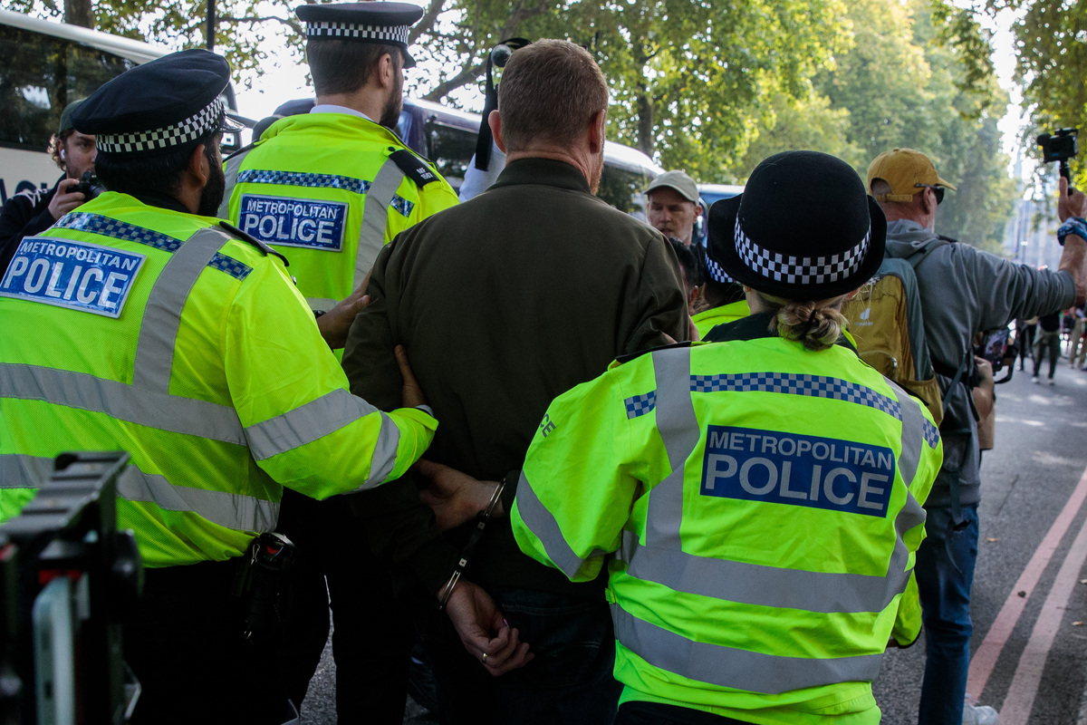UK police make arrests at pro-Palestine march in London