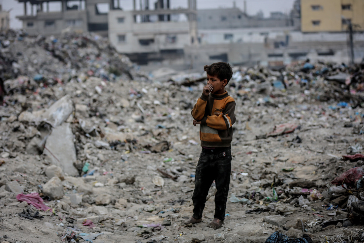 Genocide, ecocide, erasure: Gaza at the edge of survival