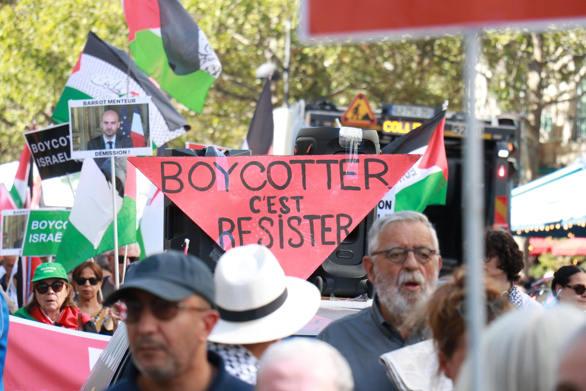 Pro-Palestinian protesters rally in Paris over Gaza war