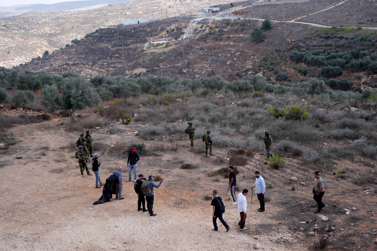 Muddle Easy Israeli settlers intervene against Palestinians’ olive-picking event in ...